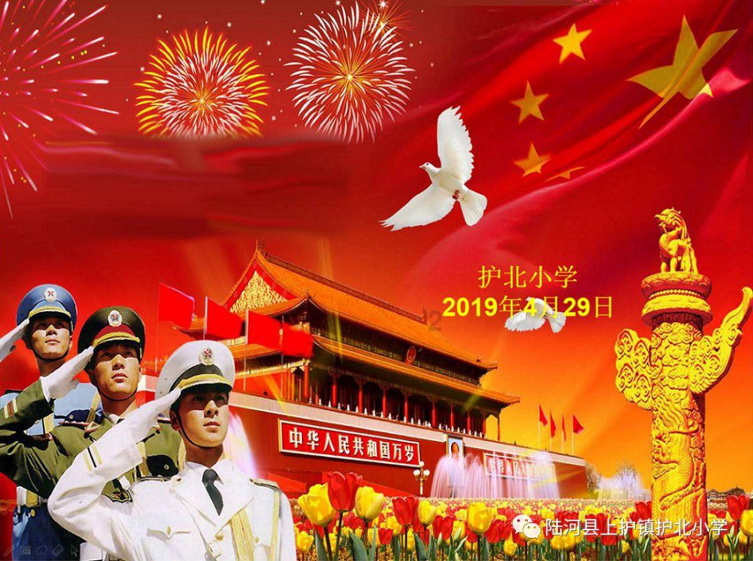 救援狗与猫